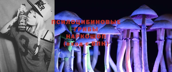 дмт Нея