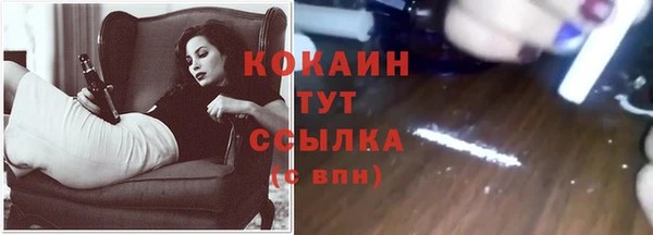 стафф Нефтекумск