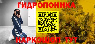 spice Кандалакша