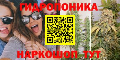гидропоника Канаш