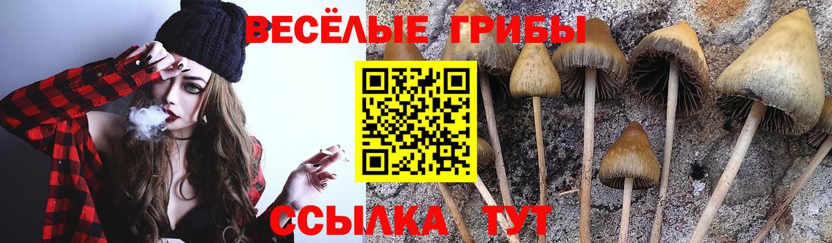 наркота  Галлюциногенные грибы MAGIC MUSHROOMS  Новочебоксарск  Псилоцибиновые грибы MAGIC MUSHROOMS 
