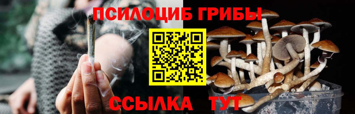 Псилоцибиновые грибы Magic Shrooms Новочебоксарск