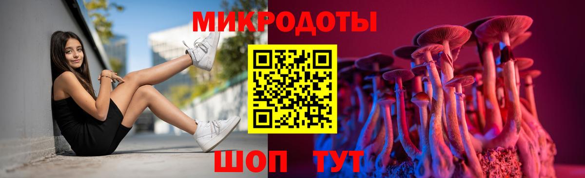 Новочебоксарск  дарнет шоп  Псилоцибиновые грибы Psilocybine cubensis  Вход с VPN  Псилоцибиновые грибы Cubensis 