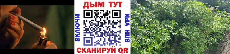 Каннабис сатива Новочебоксарск